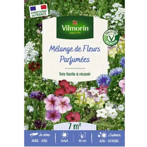 Graines - Vilmorin - Fleurs Parfumées - 7 m² - Mélange de fleurs pas cher