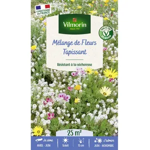 Graines - Vilmorin - Mélange Tapissant - 25 m² - Mélange de fleurs pas cher