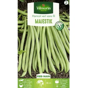 Graine - Vilmorin - Haricot nain vert sans fil Majestik pas cher