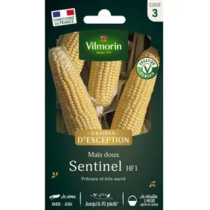 Graines - Vilmorin - Maïs doux Sentinel HF1 - Graines dException pas cher