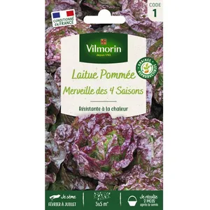 Graines - Vilmorin - Laitue Pommée Merveille des 4 Saisons pas cher