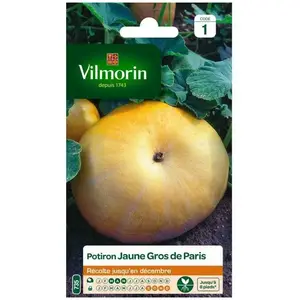 VILMORIN Potiron jaune gros de Paris