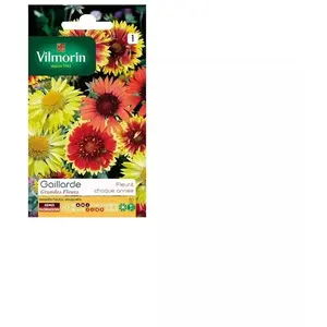 VILMORIN Gaillarde variée à grande fleur