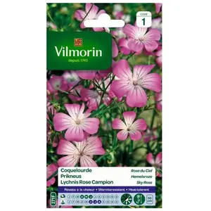 VILMORIN Coquelourde Rose du Ciel