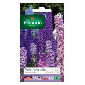 VILMORIN Pied d'Alouette delphinium vivace varié pas cher