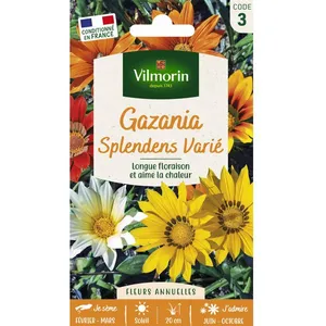 VILMORIN Gazania Splendens varié pas cher