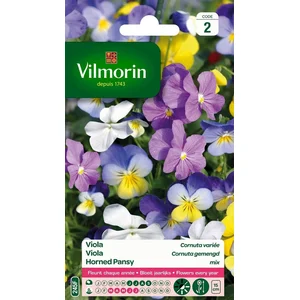VILMORIN Viola Cornuta variée