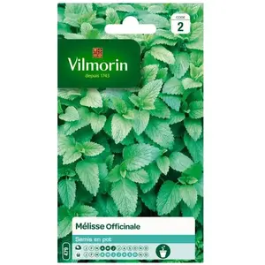 VILMORIN Mélisse officinale