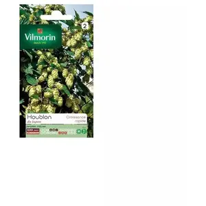 Plante vivace - VILMORIN - Houblon du Japon - Feuillage dense - Croissance rapide - Jaune pas cher