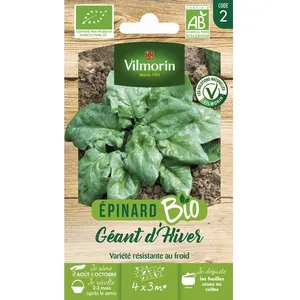 Epinard géant d hiver bio Vilmorin pas cher