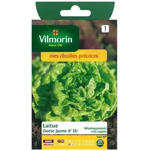VILMORIN Laitue Romaine Gotte Jaune d’Or Gotte dorée
