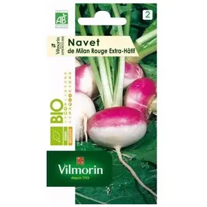 Navet de Milan Rouge Extra Hâtif Bio - Vilmorin - Graines potagères - Croissance rapide - Chair douce et tendre