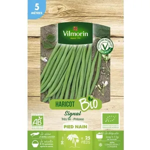 Haricot nain filet sans fil signal bio 5M Vilmorin pas cher