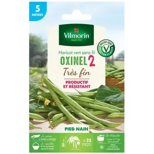 VILMORIN Graines de Haricot Nain Vert Oxinel 2 - 5 metres- pas cher