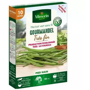 VILMORIN Graines de Haricot nain vert Gourmandel - 10 mètres