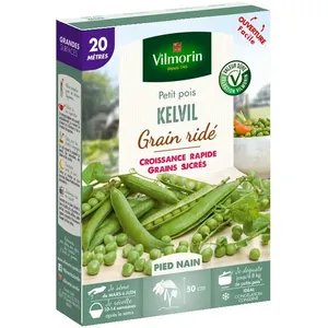 Graines de Pois nain à grain ridé - VILMORIN - Kelvil - 20 mètres - Croissance rapide - Grains sucrés pas cher
