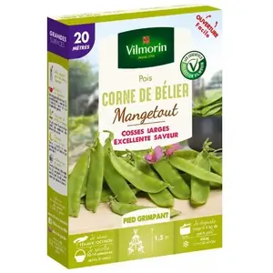 VILMORIN Graines de Pois mangetout Corne de Bélier - 20 mètres