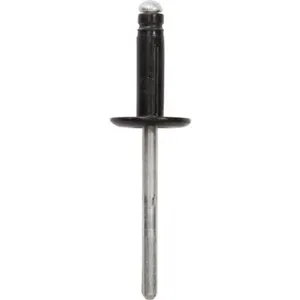 RESTAGRAF Rivet expansé tête large noir ø 4,8 x 20,5 mm bouclier pas cher