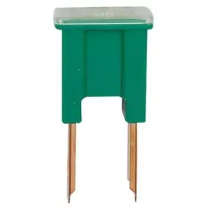 Restagraf Fusible Japonais en Sachet, Mâle, Type B, 40A, Vert pas cher