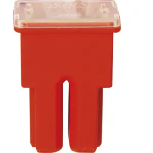 Fusible japonais femelle de type as restagraf 50 a pas cher