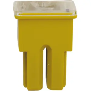 Fusible japonais femelle de type as restagraf 60 a pas cher