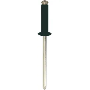 TOPCAR Rivets rivets epanouis peints Restagraf Ref: 4721 pas cher