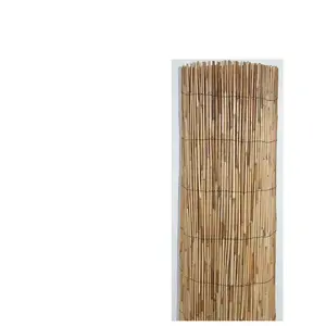 Canisse roseau 1mX5m pas cher