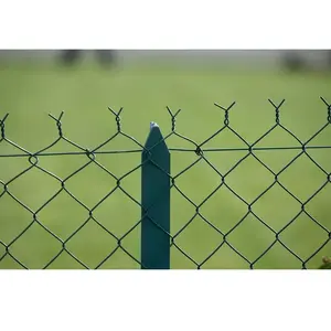 DIRICKX Grillage Simple Torsion Hauteur 1,50 M Et Longueur 20 M VertVendu parrakuten