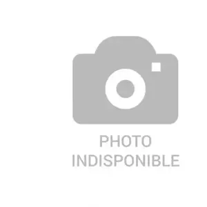 BSK Sacs aspirateur et filtres SAC VC 0020 /2 pas cher