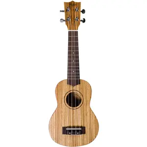 Flight Designer Series DUS322 ZEB/ZEB sopraan ukelele met gigbag pas cher