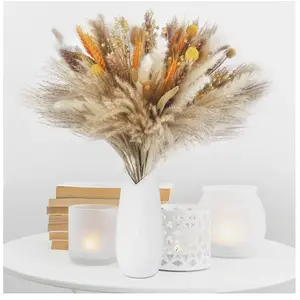 LITREVE 100pcs Pampa Séchée Naturelle Décoration Fleur Séché Bouquet Séché  d'herbe de Pampa Boho Arrangement Mariage Chambre AnniversaireVendu parcdiscount