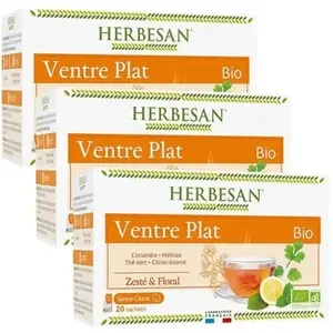 Herbesan Bio Infusion Ventre Plat Saveur Citron n°10 Lot de 3 x 20 sachets pas cher