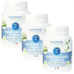 Nat & Form Original Magnésium Vitamine B6 Lot de 3 x 40 gélules pas cher