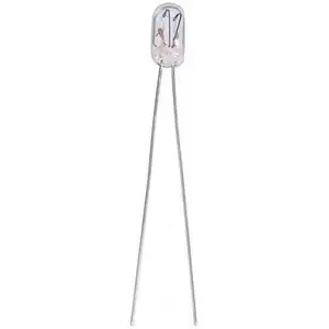 Barthelme 21109640 Microgloeilamp 6 V 0.24 W T1 Helder 1 stuk(s) pas cher