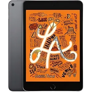 Apple iPad mini 5 (2019) - 64 Go - Gris sidéral - Reconditionné - Exce... pas cher