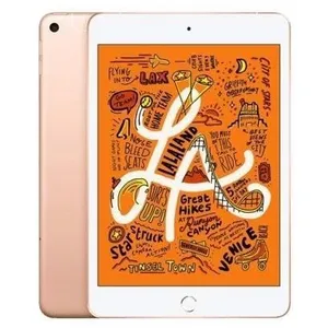 Apple iPad mini 5 (2019) Wifi+4G - 64 Go - Or rose - Reconditionné - E... pas cher