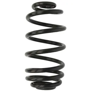 Triscan 8750 24163 Ressort de suspensionVendu paroscaro