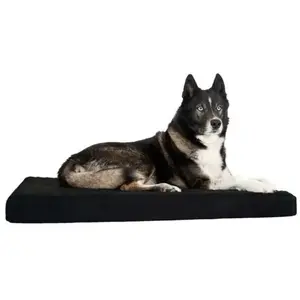 Back on track Beschermkraag rugbeschermer hond L pas cher