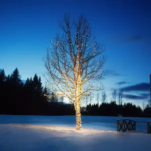 Csdk SL, Guirlande lumineuse, CHRISSLINE 50L Original Extra (5 m) pas cher