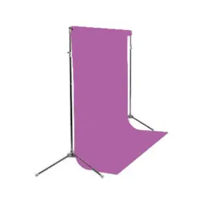 BD fond studio en papier violet 191 Boysenberry 2.72 x 11 m pas cher