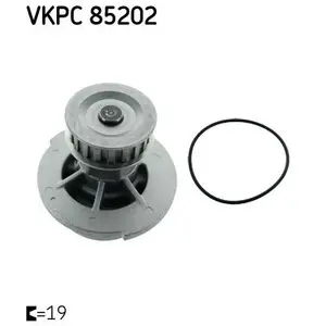 SKF Waterpomp pas cher