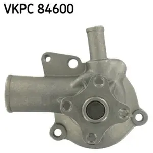SKF Waterpomp pas cher