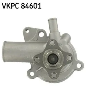 SKF Waterpomp pas cher