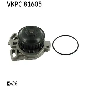 SKF Waterpomp pas cher