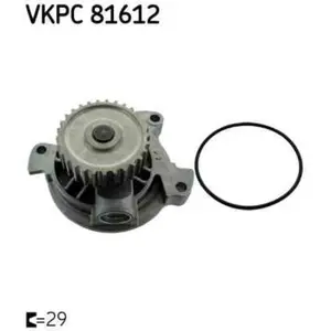 SKF Waterpomp pas cher