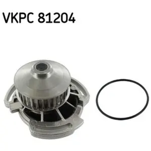 SKF Waterpomp pas cher