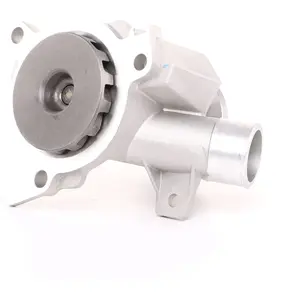 SKF Waterpomp pas cher