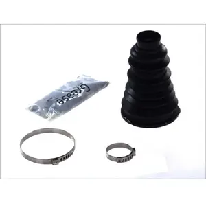 SKF Asmanchetten set pas cher