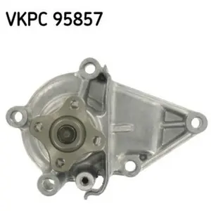 SKF Waterpomp pas cher