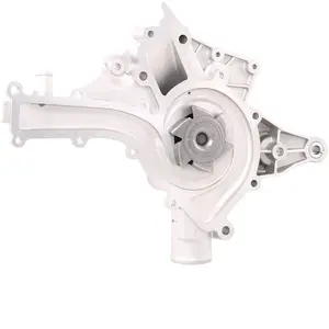 SKF Waterpomp pas cher